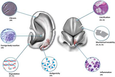 Image Result For Regenerative Medicine Solutions Image Result For Regenerative Medicine Solutions